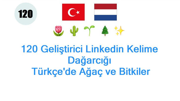 120 Geliştirici Linkedin Kelime Dağarcığı: Türkçede Ağaç ve Bitkiler